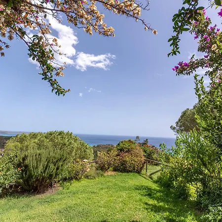 Asfodeli アパート モンテ・ナイ