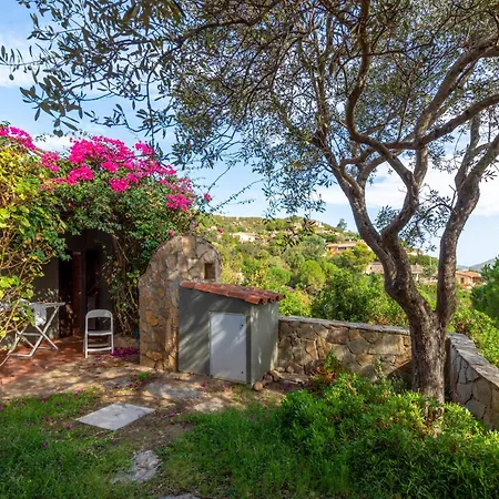 アパート Asfodeli *