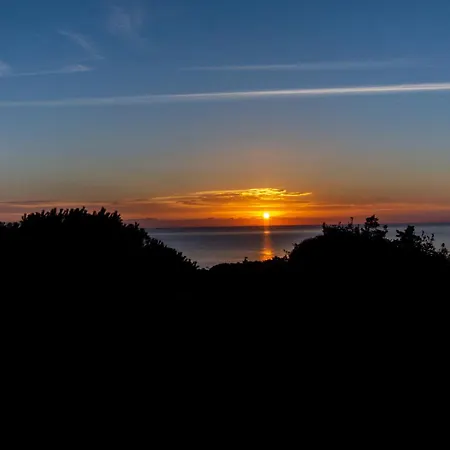 Asfodeli * モンテ・ナイ