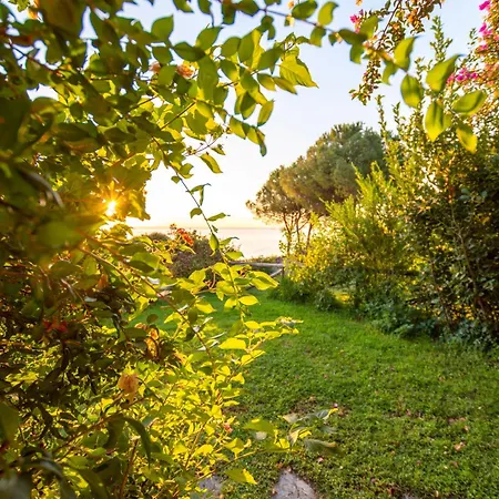 アパート Asfodeli モンテ・ナイ