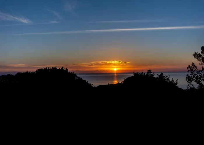 Asfodeli * モンテ・ナイ